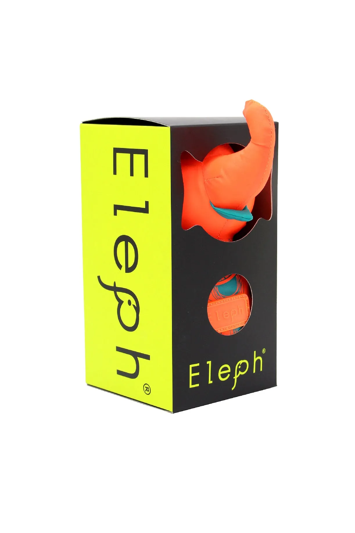 ELEPH RADIANT - L : Turquoise / Orange