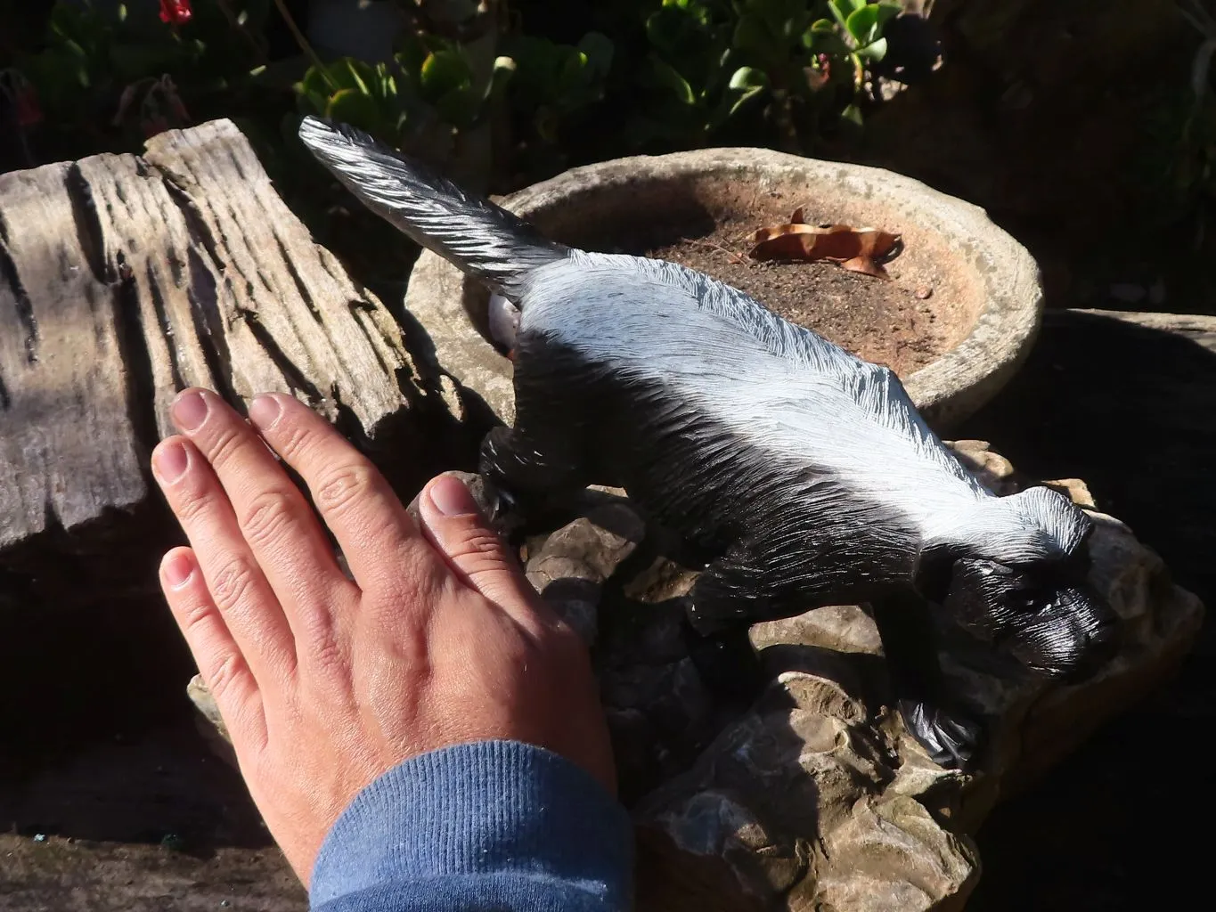 Polished  Groovy Soapstone Honey Badger Carving x 1 From Zimbabwe