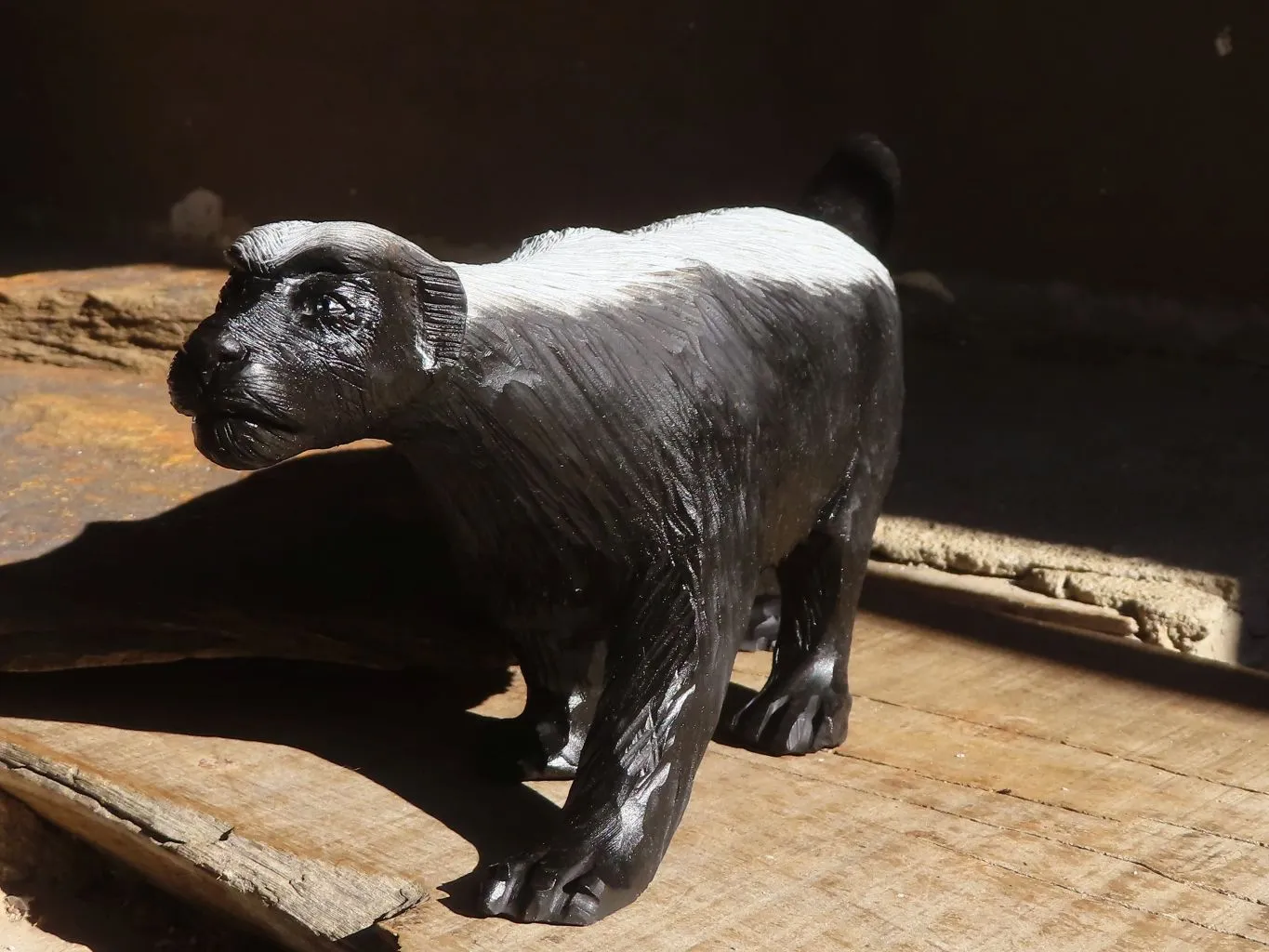 Polished  Groovy Soapstone Honey Badger Carving x 1 From Zimbabwe