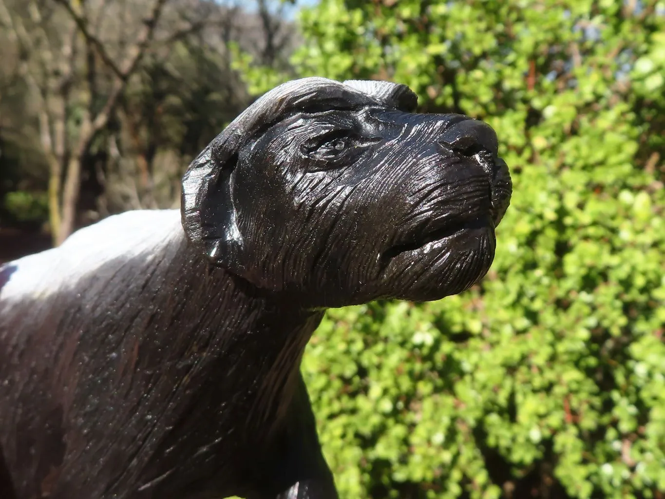 Polished  Groovy Soapstone Honey Badger Carving x 1 From Zimbabwe