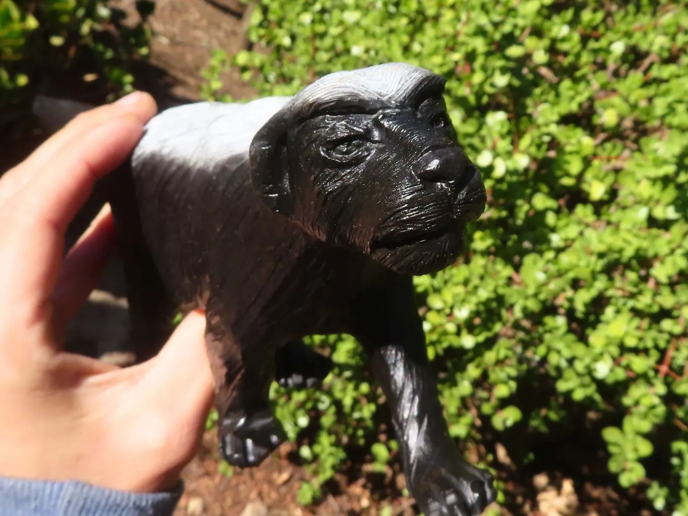 Polished  Groovy Soapstone Honey Badger Carving x 1 From Zimbabwe