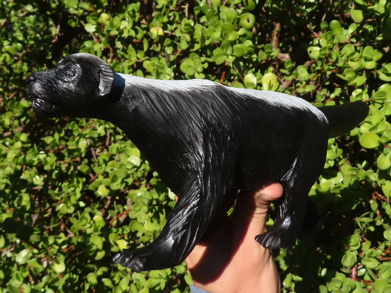 Polished  Groovy Soapstone Honey Badger Carving x 1 From Zimbabwe