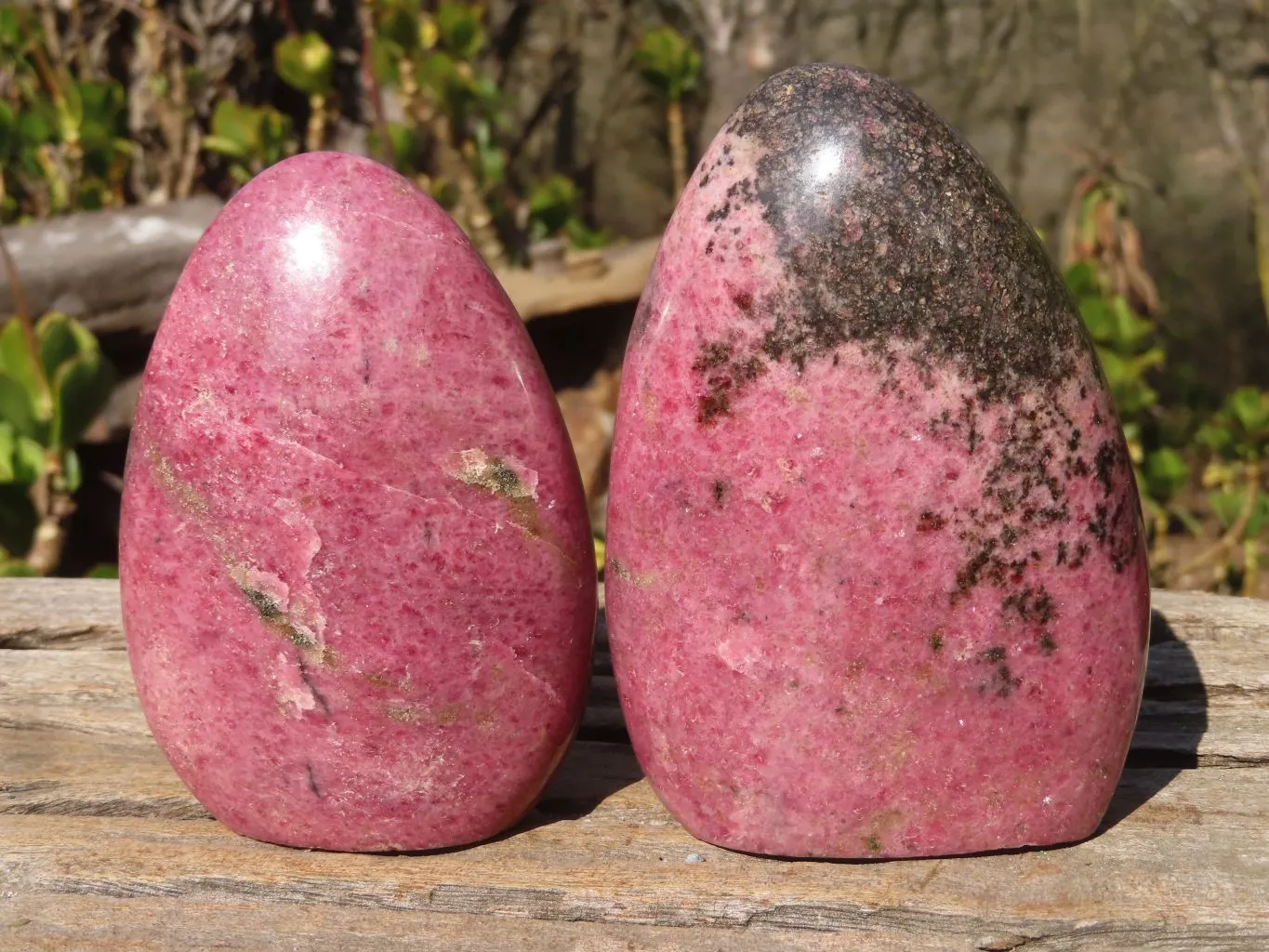 Polished Rhodonite Standing Free Forms x 2 From Ambindavato, Madagascar