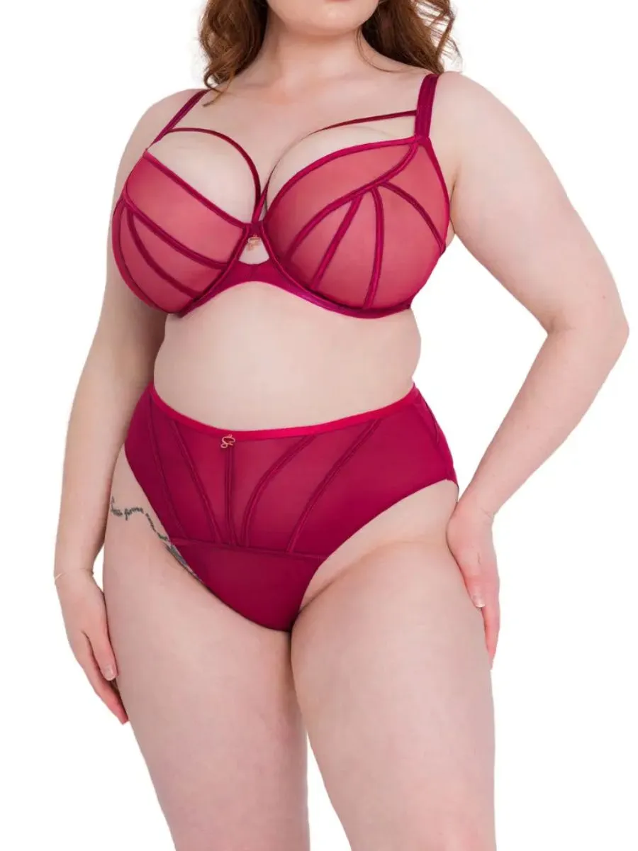 Senses Plunge Bra - Cherry