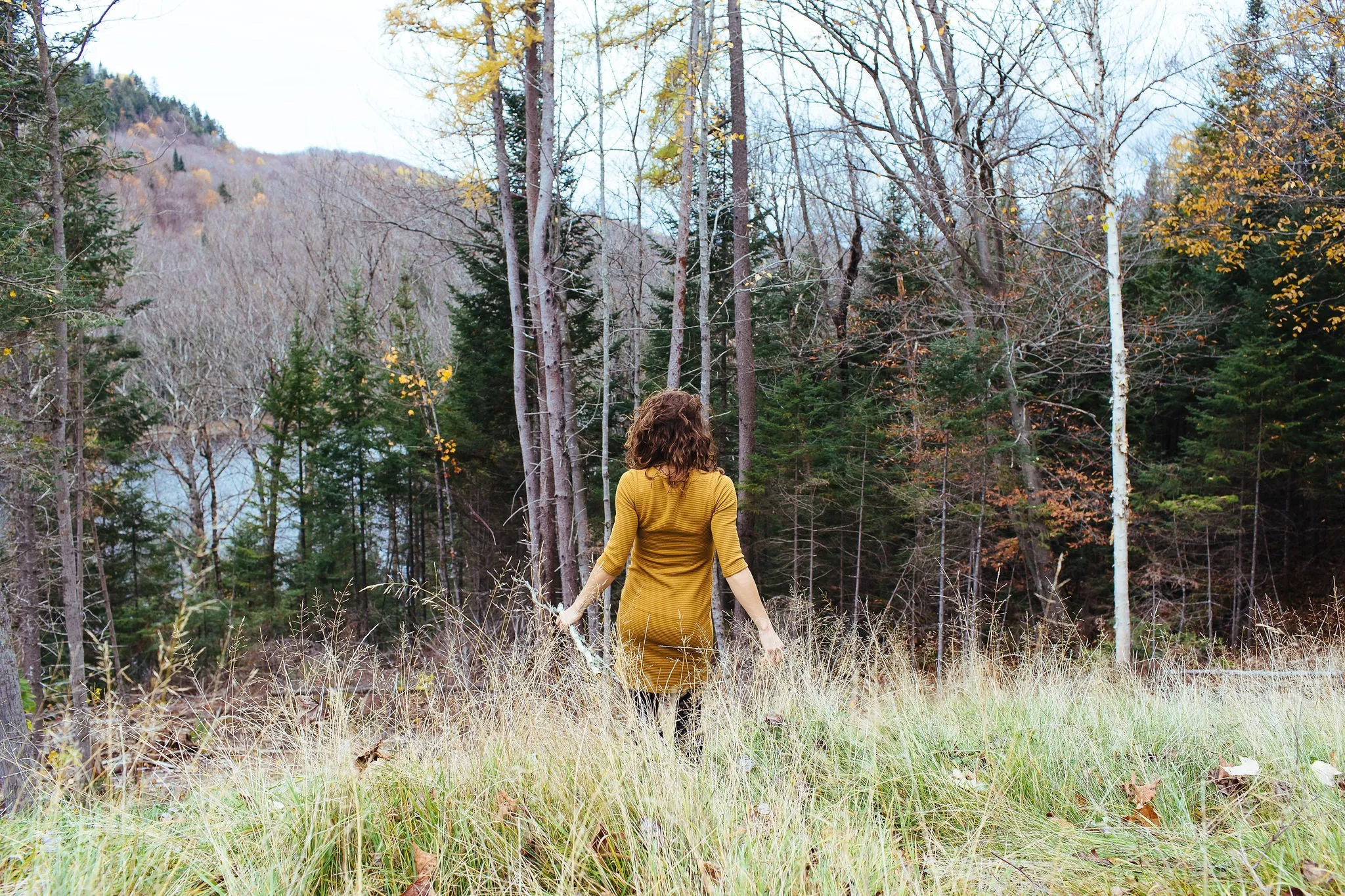 Splendid Knit Dress / Mustard / Oatmeal / Charcoal