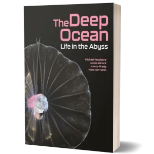 The Deep Ocean: Life in the Abyss